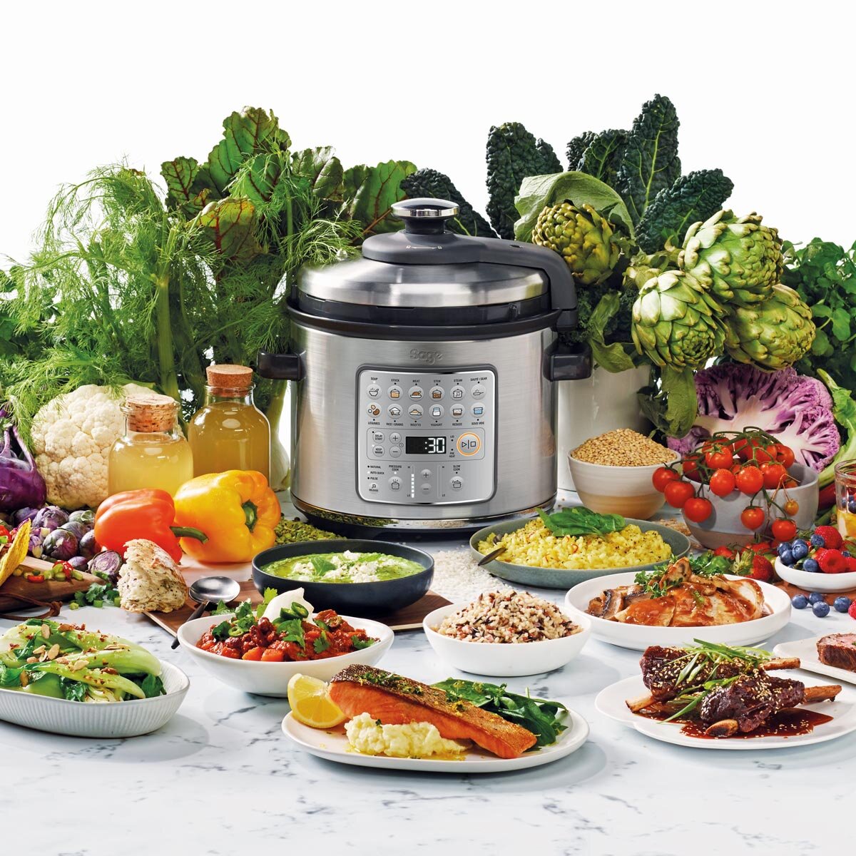 Sage Fast Slow Cooker Brushed 6 , 1100 W BPR700BSSUK Brushed Stainless –