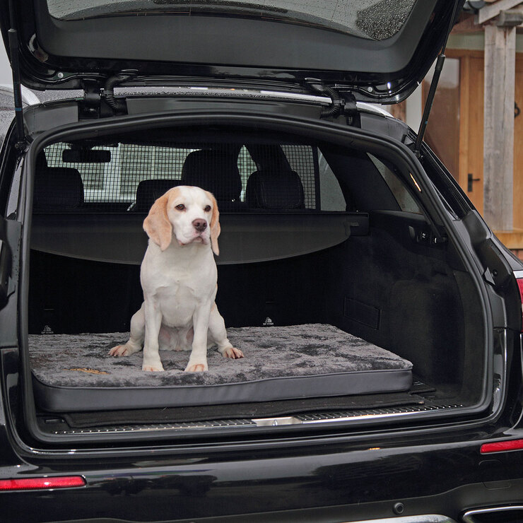 Snoozzzeee Dog Deluxe Reversible Pet Mat 28" x 39" in Grey Snoozzzeee Dog Deluxe Reversible Pet Mat 28" x 39" in Grey