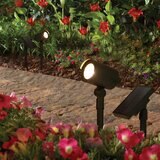 lifestyle image of lights