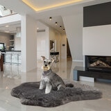 Lifestyle image of dog on bed in living room setting