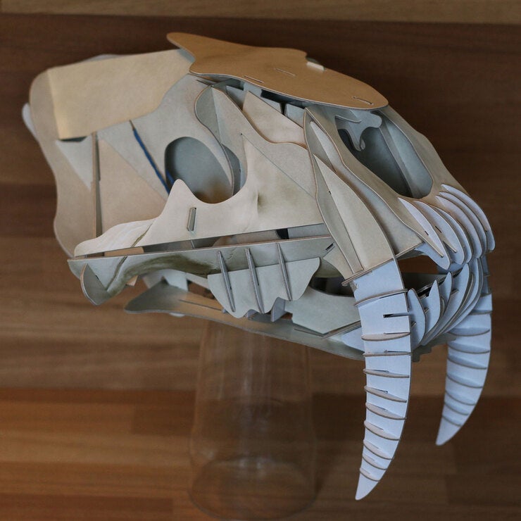 Life Size Beasts (8+ Years) Life Size Beasts (8+ Years)