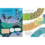 Big Book 2