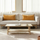 Sutton Place Collection Gold Velvet Cushion 2 Pack, 35 x 55 cm