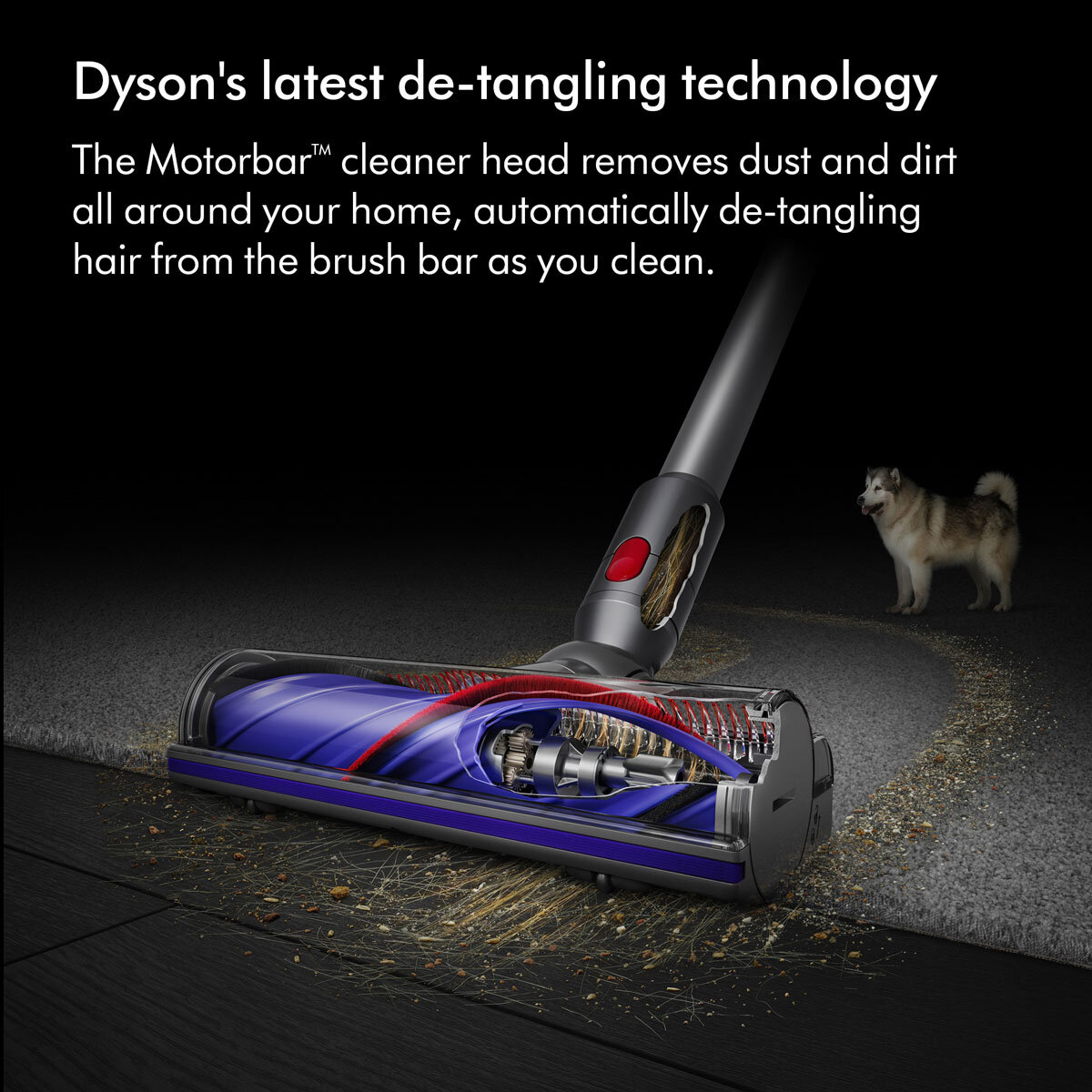 Dyson v8 animal costco discount