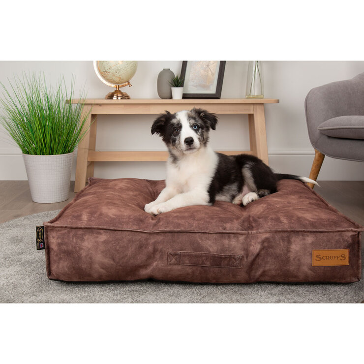 Dog sitting on brown dog mattress Dog sitting on brown dog mattress