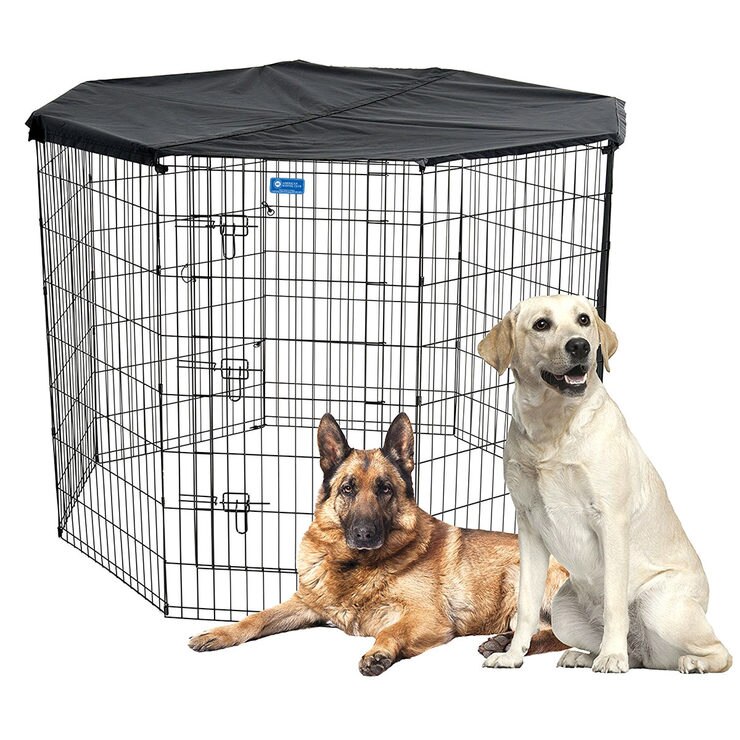 covered dog pen