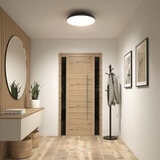 Artika Flint FM LED light in Black