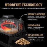 Descriptive image of Ninja Woodfire Grill