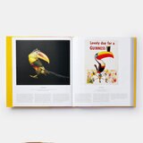 Bird 4
