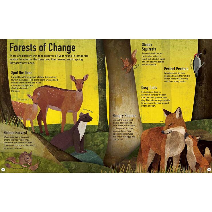 Colours of the World 3 Book Set (6+ Years)