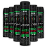 Lynx Deodorant & Bodyspray Africa, 6 x 250ml
