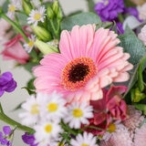 50 Stem Pink Radiance Flower Bouquet with Greetings Card