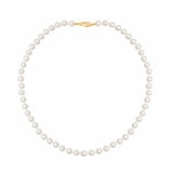 7-7.5mm Cultured Freshwater White Pearl Necklace, 14ct Yellow Gold 7-7.5mm Cultured Freshwater White Pearl Necklace, 14ct Yellow Gold