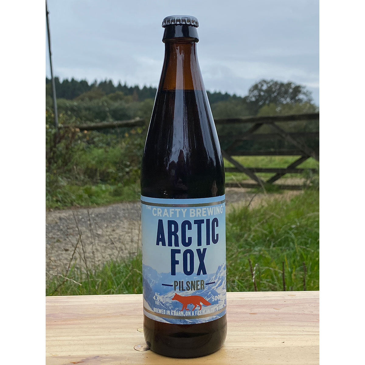 Life style image of Arctic Fox Pilsner