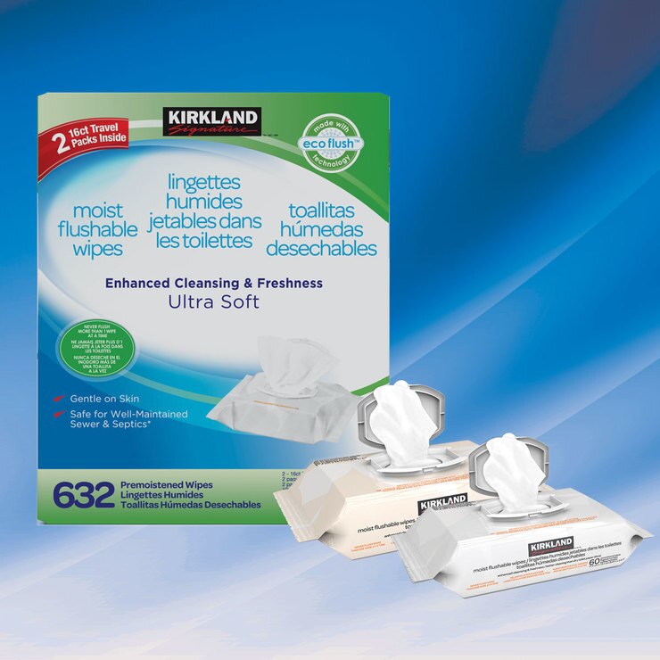 moist toilet tissue flushable