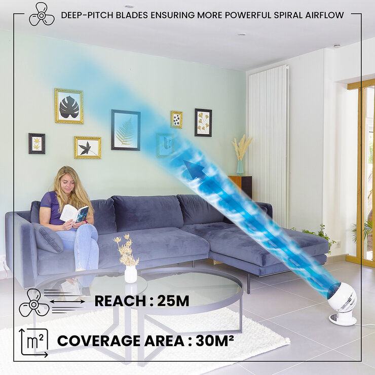 Lifestyle image of Woozoo Desk Fan