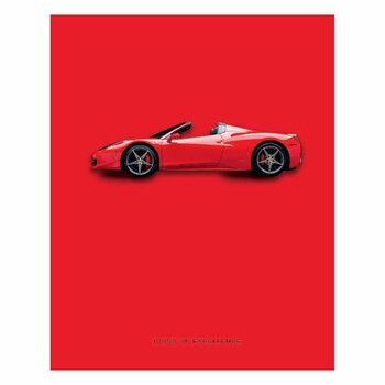 Ferrari Icons of Excellence by Arianna Previtera