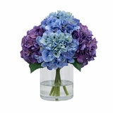 Hydrangea in Vase Blue_Whitebackground Hydrangea in Vase Blue_Whitebackground
