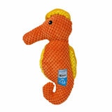 Seahorse
