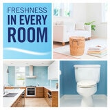 Freshness in Every Room
