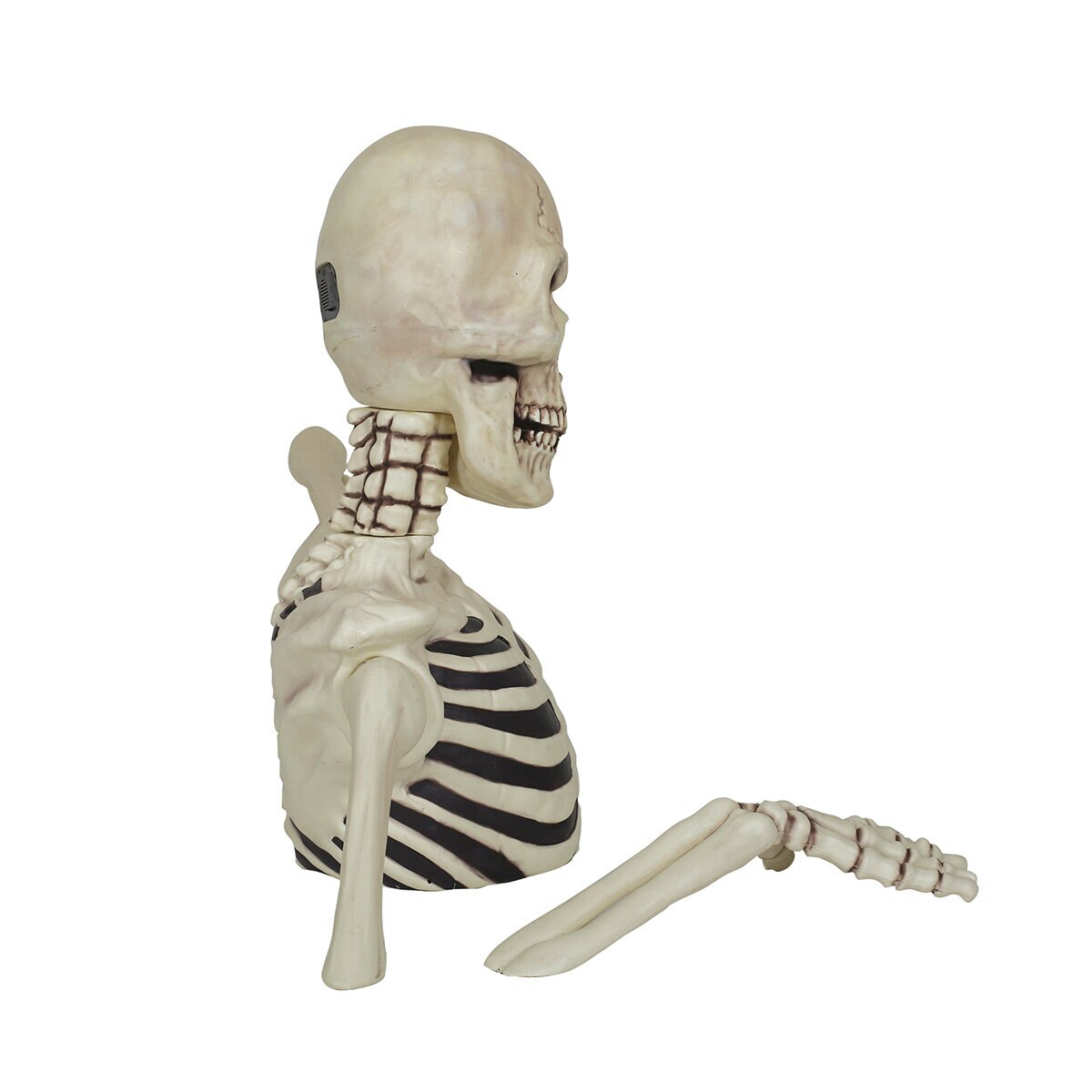 Giant Skeleton side view Image