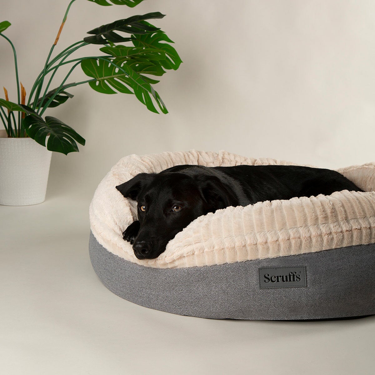 Scruffs® Ellen Donut Medium Bed, 55cm in Grey