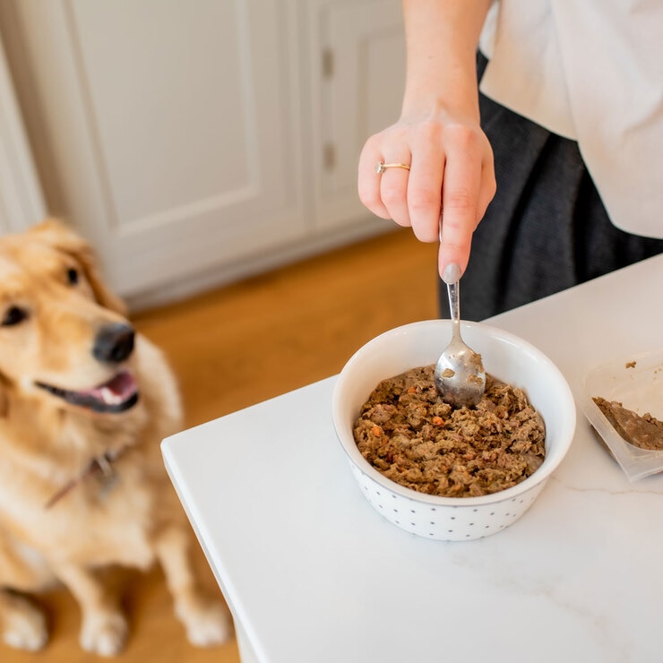 RaaW Natural Dog Complete Bundle RaaW Natural Dog Complete Bundle