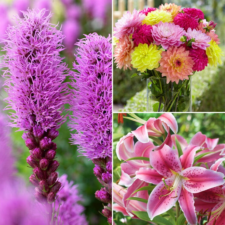 Ultimate Flower Collection, 300 Bulbs Costco UK
