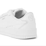 Puma_5