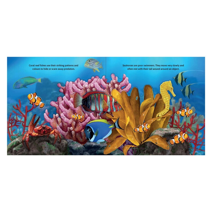 Garry Fleming Sea Animal Sounds Garry Fleming Sea Animal Sounds