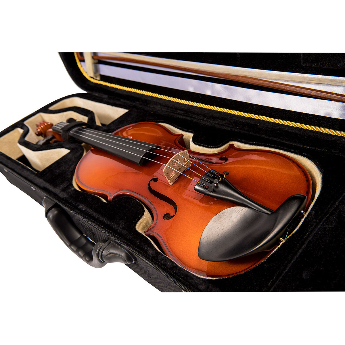 close up of violin in case