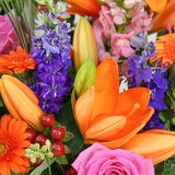 46 Stem Carnival Burst Flower Bouquet with Greetings Card