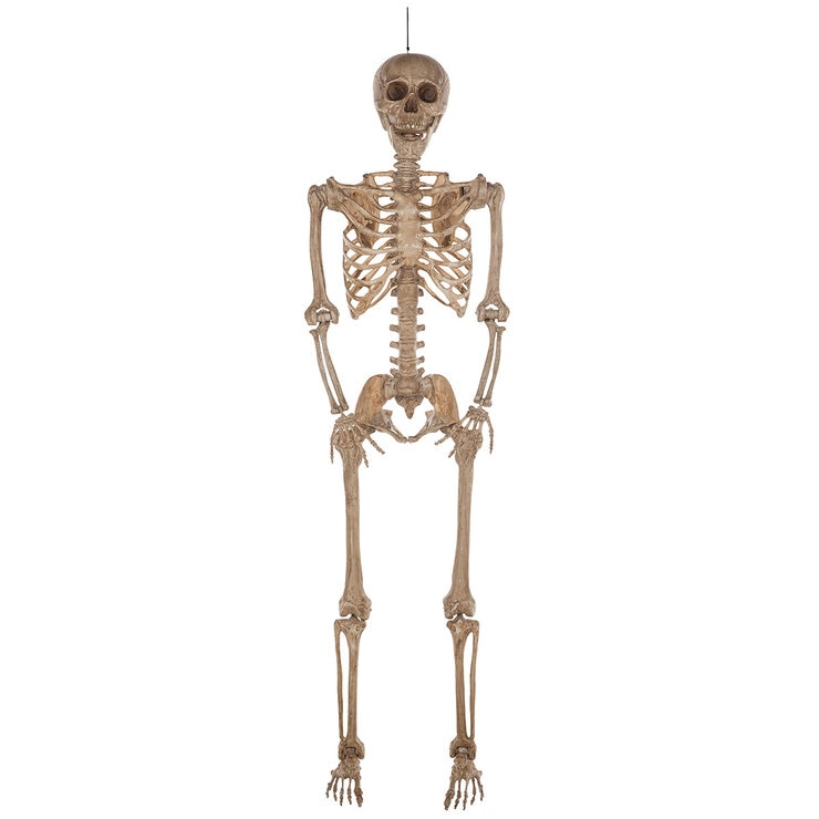 Halloween 7ft (2.1m) Poseable Skeleton Halloween 7ft (2.1m) Poseable Skeleton