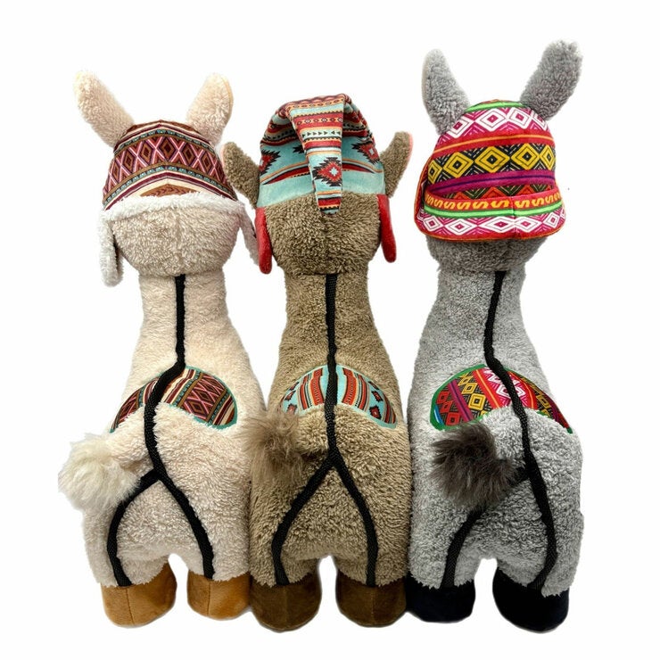 Back of Llamas Back of Llamas