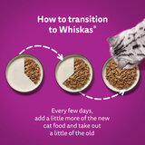 Transition to Whiskas