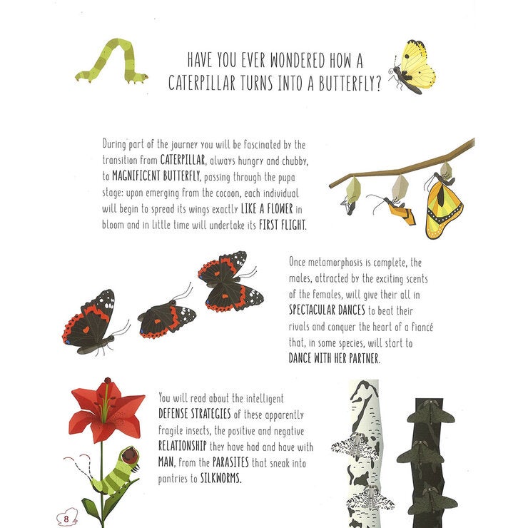 page spread butterfly page spread butterfly