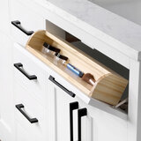 Alonso 60" vanity lifestyle image of inside drawers