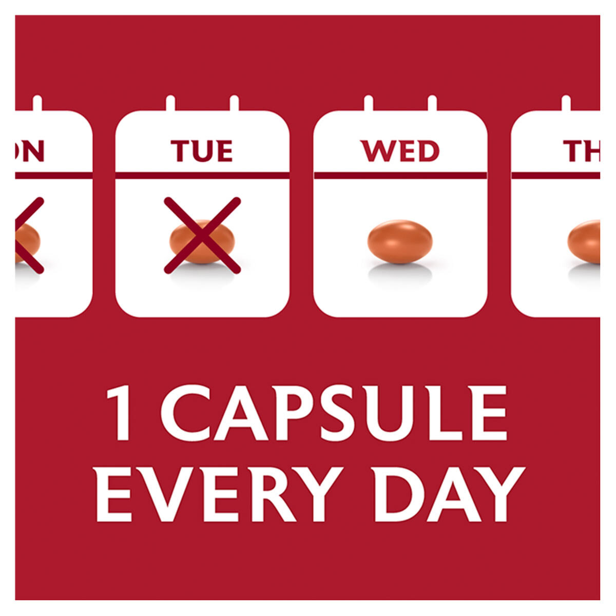 1 Capsule Every Day