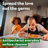 Everyday Surface Cleanser