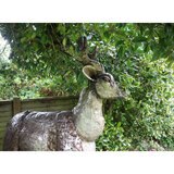 Lifesize Stag