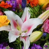 50 Stem Festival Glow Flower Bouquet with Greetings Card