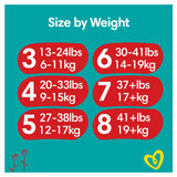 Size by weight