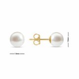 7.5-8mm Akoya White Pearl Earrings, 14ct Yellow Gold