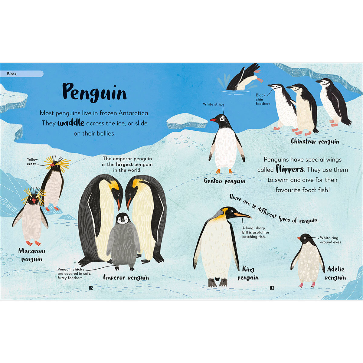 Animals 3
