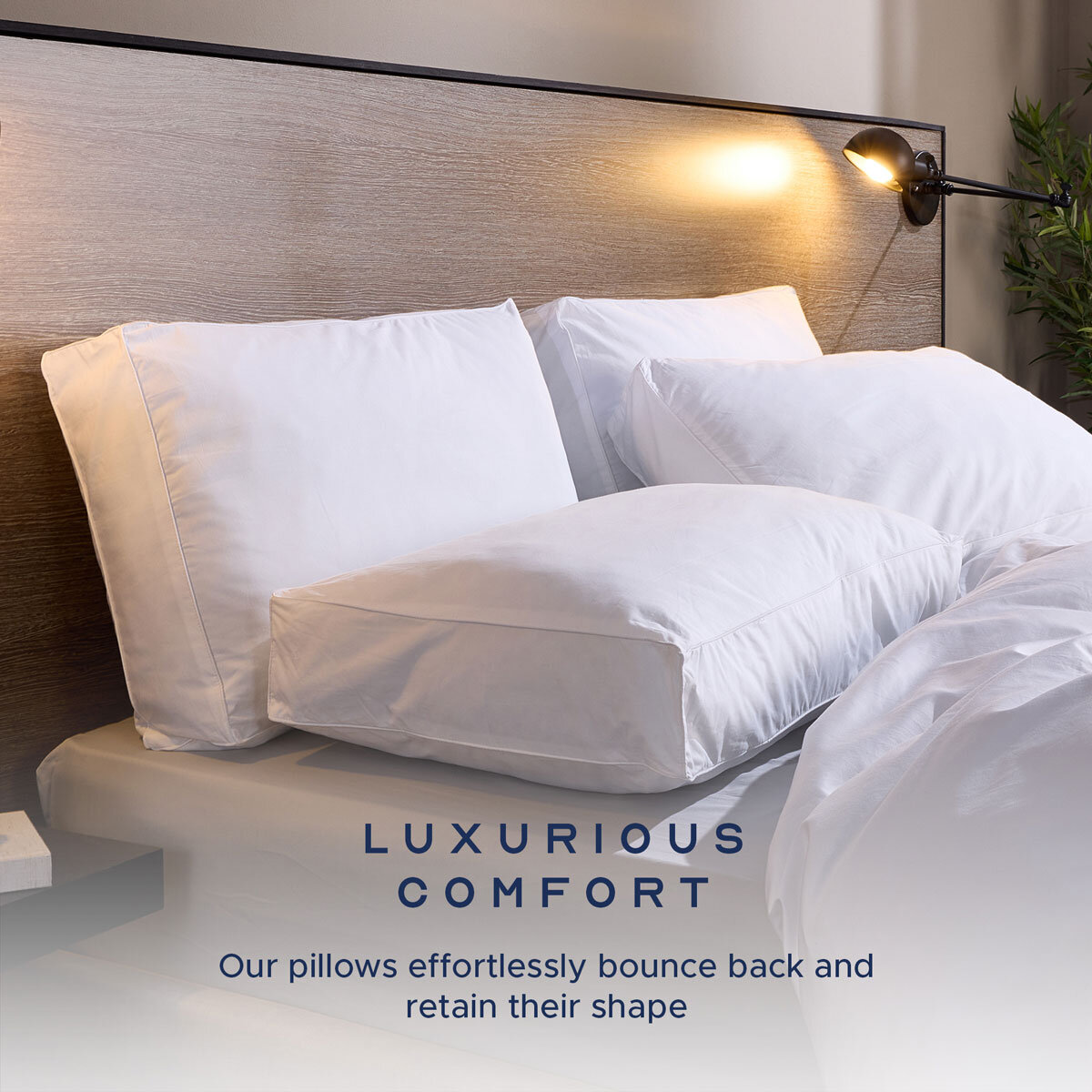 Snuggledown Luxury Side Sleeper Pillow 2 Pack