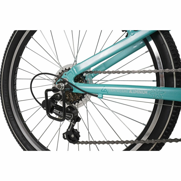 Dawes 24" Paris HT Kids Mountain Bike
