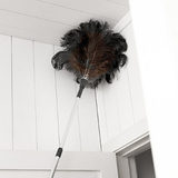 Home Valet Ozzie Ostrich Feather Duster Dusting a High Corner