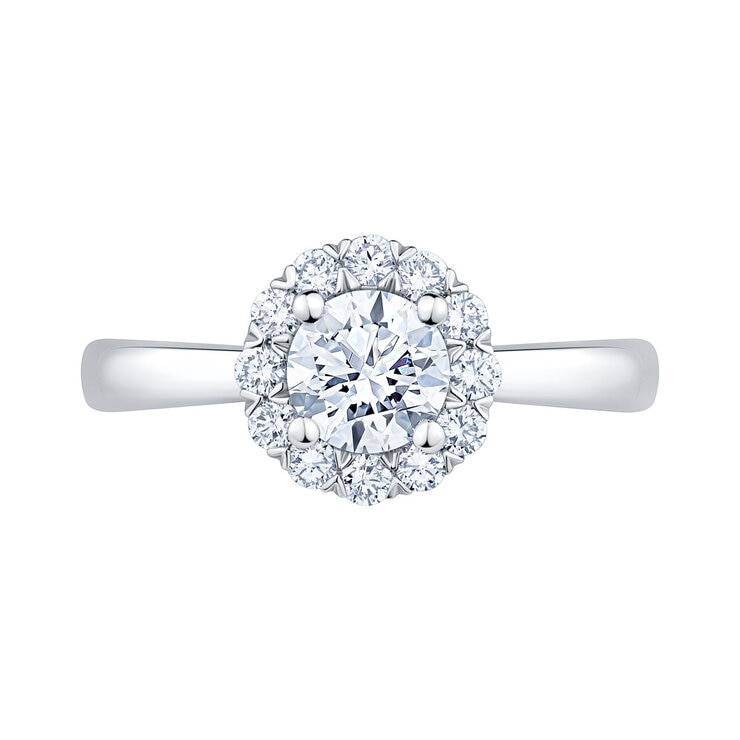 1.00ctw Round Brilliant Cut Diamond Halo Ring, Platinum