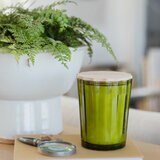 Sand and Fog Scalloped Candle (GREEN)