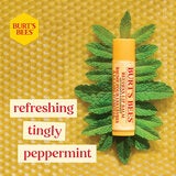 Beeswax Beeswax